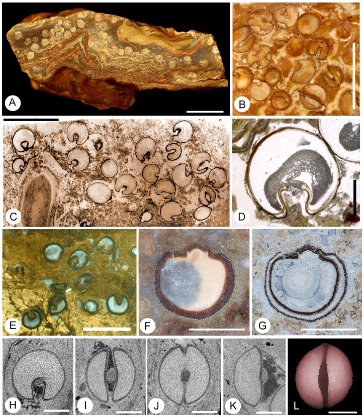 Figure from article: Revisiting...